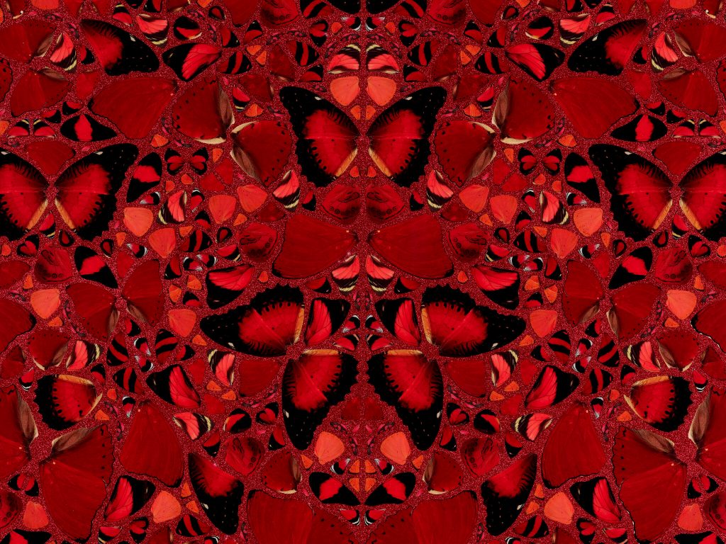 NFTが発売されたダミアン・ハーストの作品「The Currency」。複数の赤い蝶が並べられている。